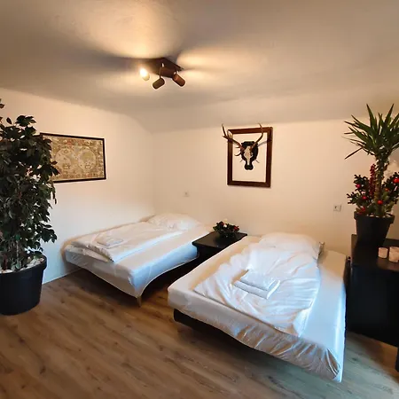 شقة Bergnest Maishofen