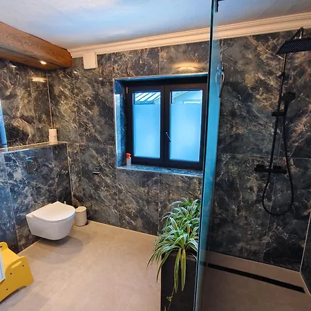 شقة Bergnest Maishofen Mitterhofen