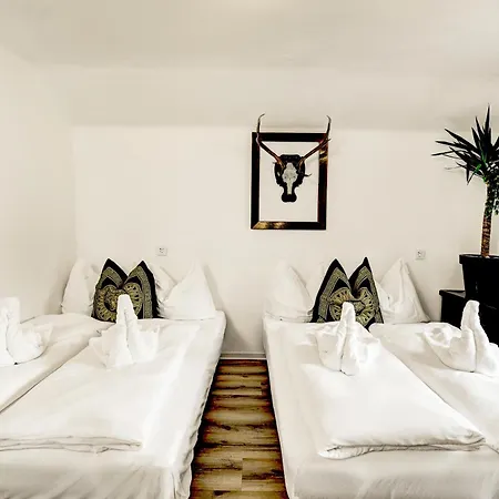 Bergnest Maishofen *