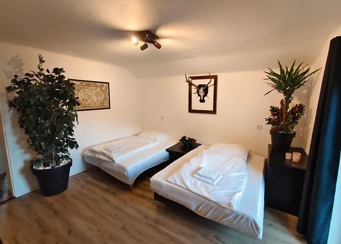 アパート Bergnest Maishofen