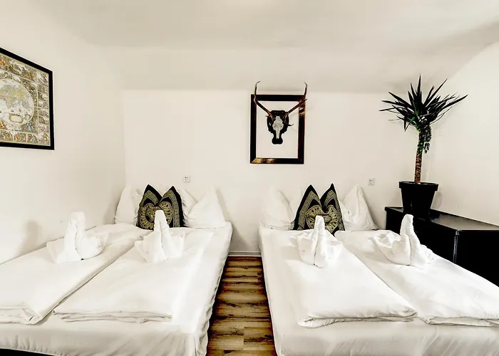 Bergnest Maishofen *